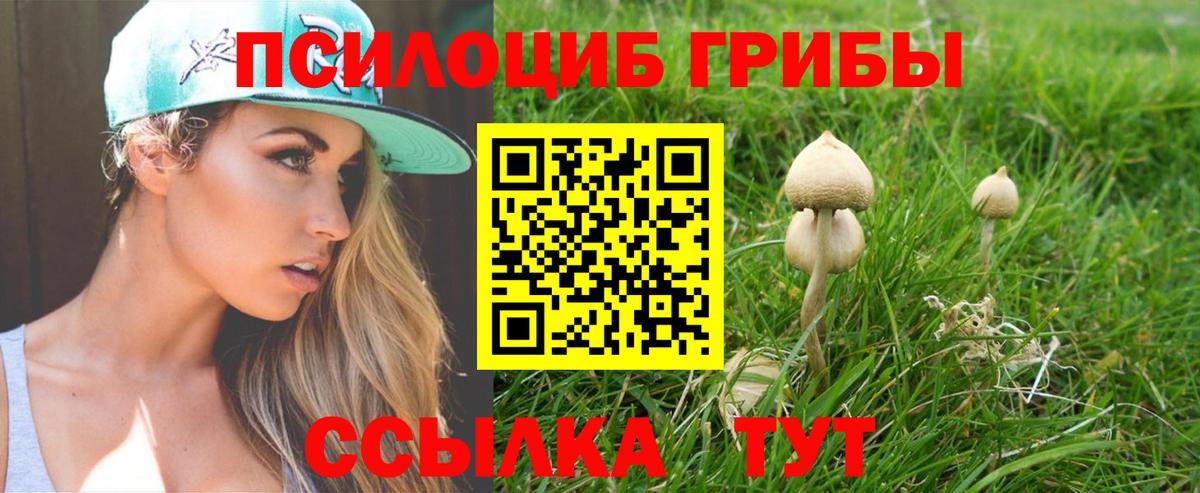 Ялта  дарнет шоп  Вход с VPN  Галлюциногенные грибы GOLDEN TEACHER 
